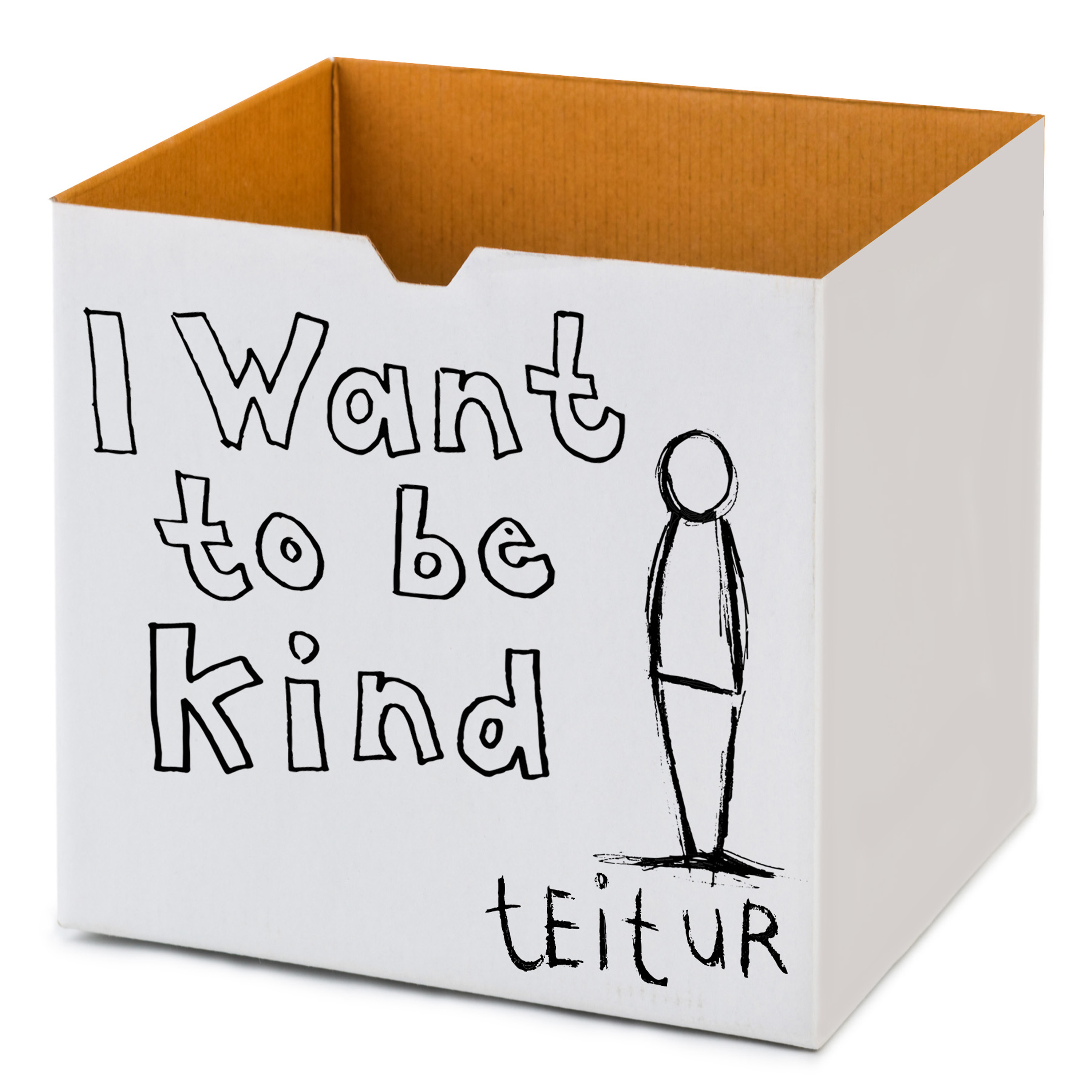 Teitur 'I Want To Be Kind' cover master 72dpi 3000px x 3000px